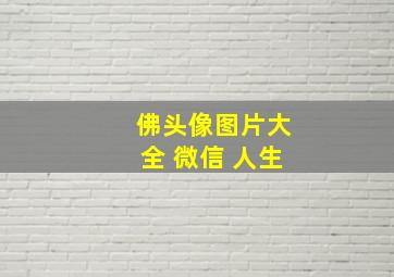 佛头像图片大全 微信 人生